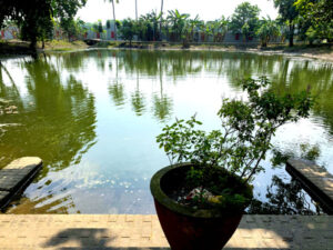 Raadha-KUnda-mayapur 2