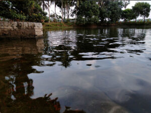 Radha-Kunda-Mayapur